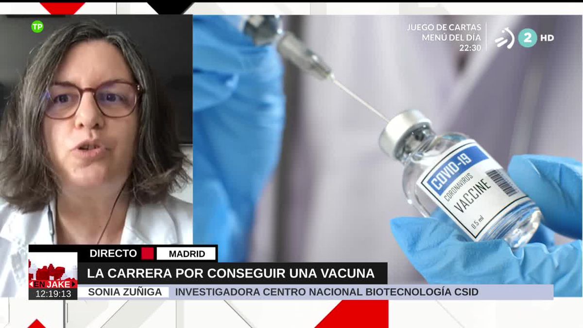 Sonia Zuñiga,  investigadora del CSIC. Imagen obtenida de un vídeo de EiTB