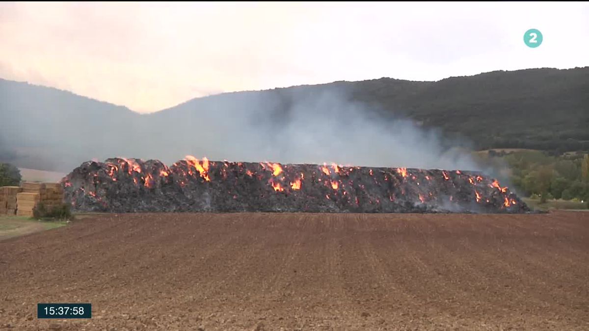 Incendio en Ribera Alta. Imagen obtenida de un vídeo de ETB.