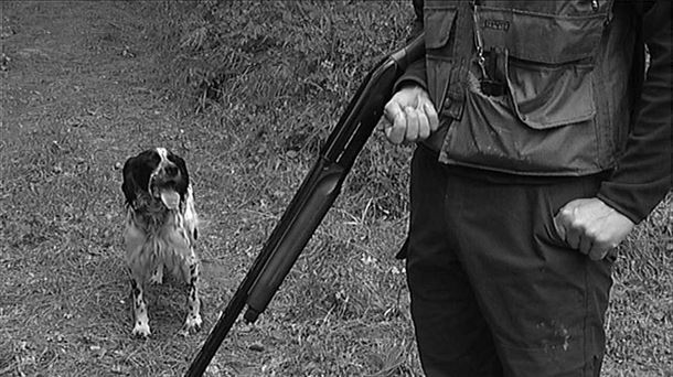 La Diputación permite que cazadores de otras provincias pueden cazar jabalís en Álava