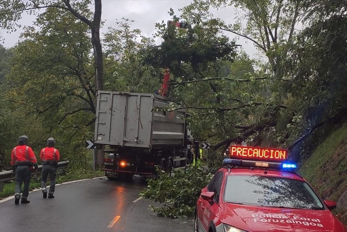 Un árbol caído obstaculiza una carretera en Navarra