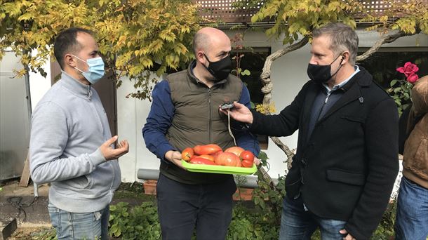   "Venta Moncalvillo" (Daroca): del huerto... ¡a la mesa!