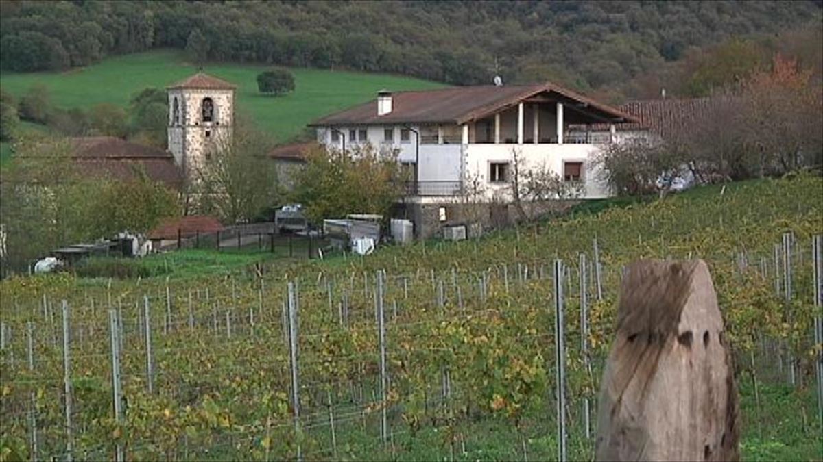 Bodega de txakoli en Delika (Amurrio, Álava). Imagen obtenida de un vídeo de EiTB.