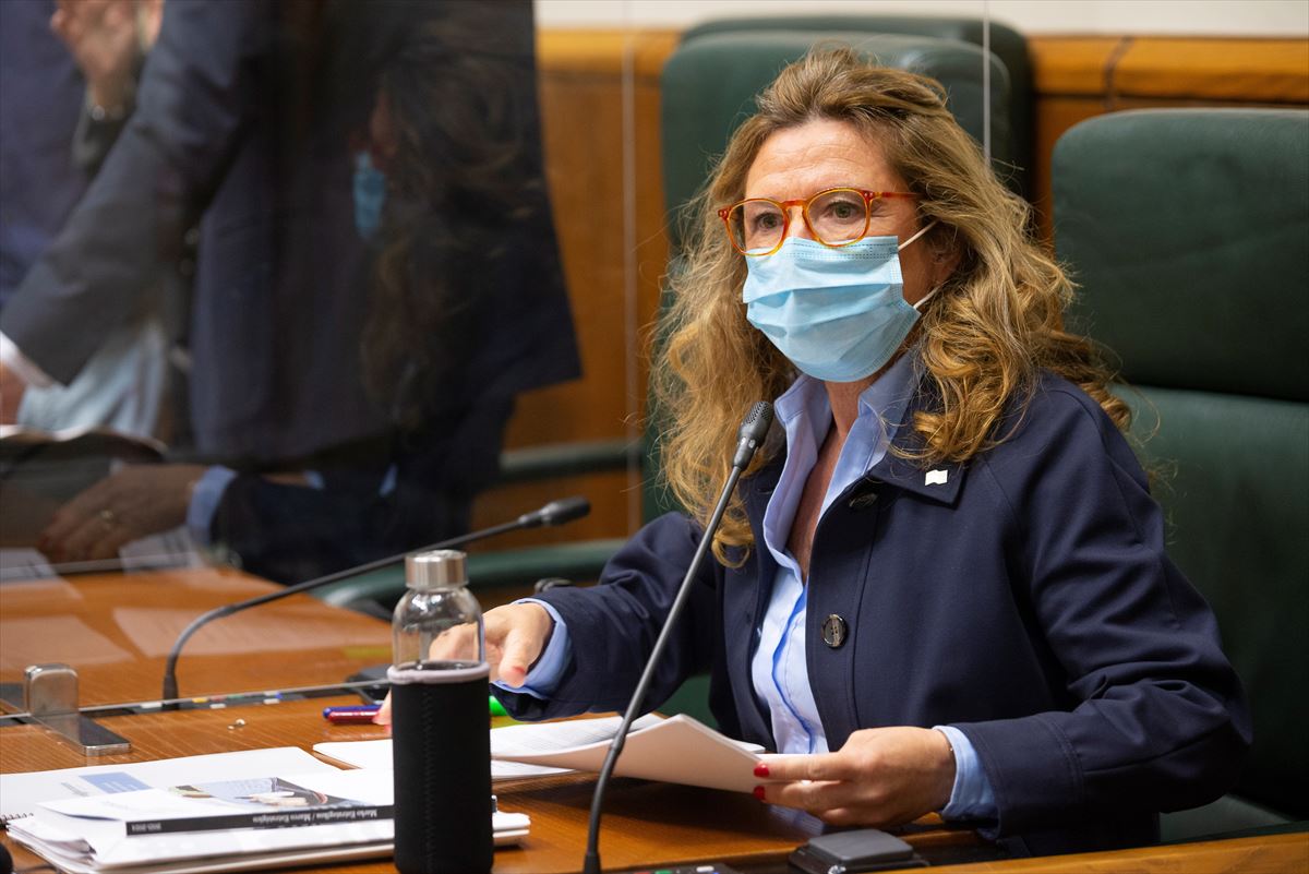 La consejera de salud, Gotzone Sagardui, durante su comparecencia en el Parlamento Vasco.