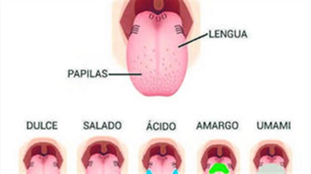 Los cinco sabores 