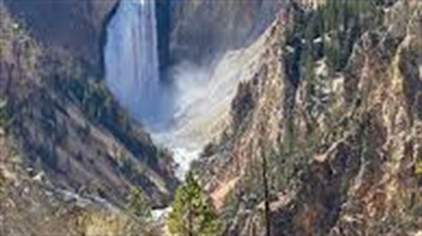 Xabier Bañuelos:"Yellowstone es el mejor lugar del mundo para ver fauna"