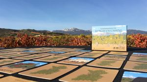 Rioja Alavesa cuenta con su propio juego de cartas para aprender a vendimiar 