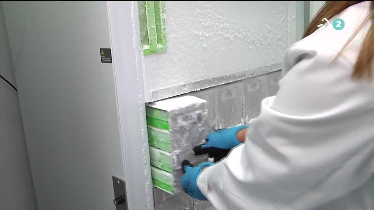 Congeladores especiales. Imagen obtenida de un vídeo de ETB.