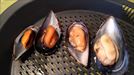 Mejillones