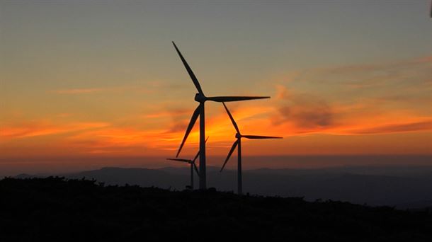 Vitoria insta al Gobierno Vasco a detener los grandes proyectos de renovables que 'afecten al medio ambiente'
