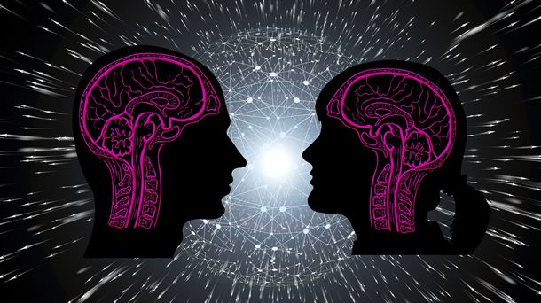 cerebro femenino y masculino