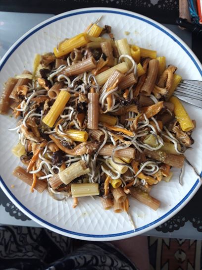 Imagenes enviadas por oyentes