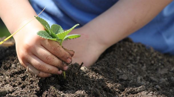 Relevo generacional en la agricultura