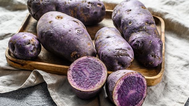 Beltza, la nueva patata de color púrpura resistente a las enfermedades en el campo