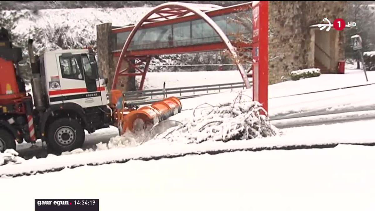 Pagozelai, gaur goizean. EITB Mediaren bideo batetik ateratako irudia.