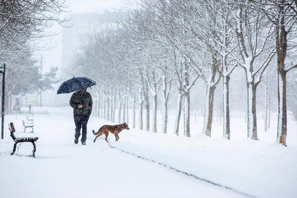 Una persona pasea junto a su perro bajo la nieve en un parque nevado en Vitoria-Gasteiz