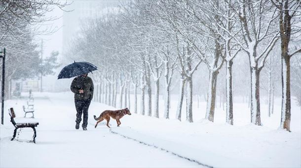 Una persona pasea junto a su perro bajo la nieve en un parque nevado en Vitoria-Gasteiz