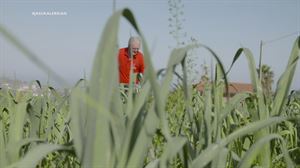 Mota guztietako barazkiak ezagutu ditugu Bermeoko Alkimetxu jatetxeko baratzean