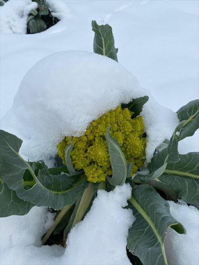 imágenes aportadas por oyentes