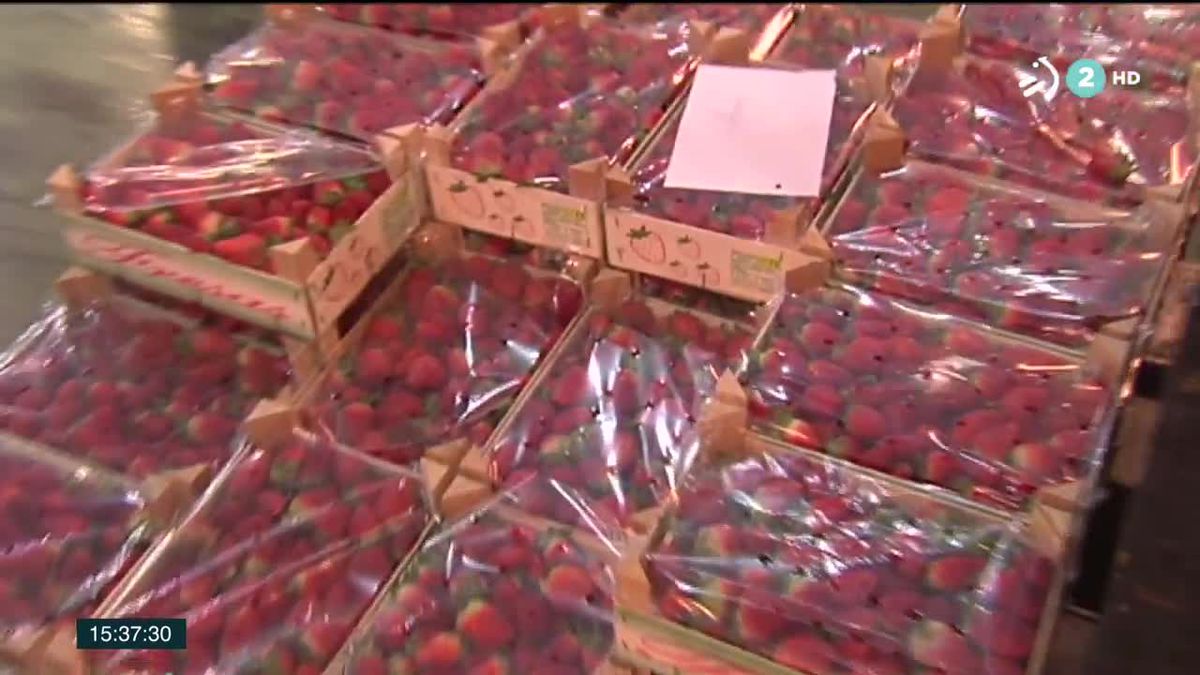 Suben los precios de frutas y verduras. Imagen obtenida de un vídeo de ETB.