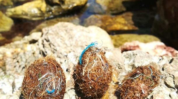 Posidonia atrapa-plásticos, reducir basura en el mar y mates en el super