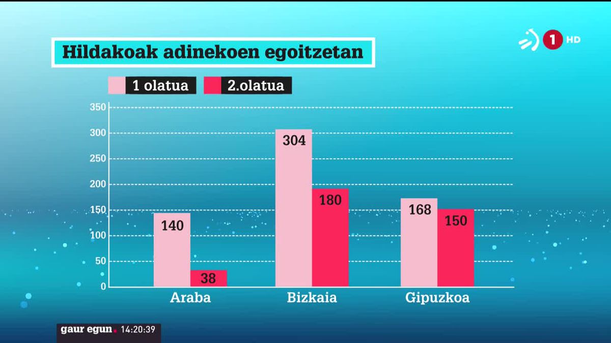 Adineko egoitzetan hildakoen bilakaera. EITB Mediaren bideo batetik ateratarko irudia.