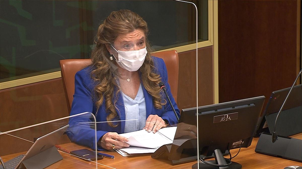 La consejera de Salud, Gotzone Sagardui, en el Parlamento Vasco. 