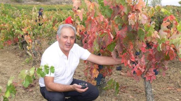 “Benedicto”, recuperando cepas centenarias en Rioja Alavesa