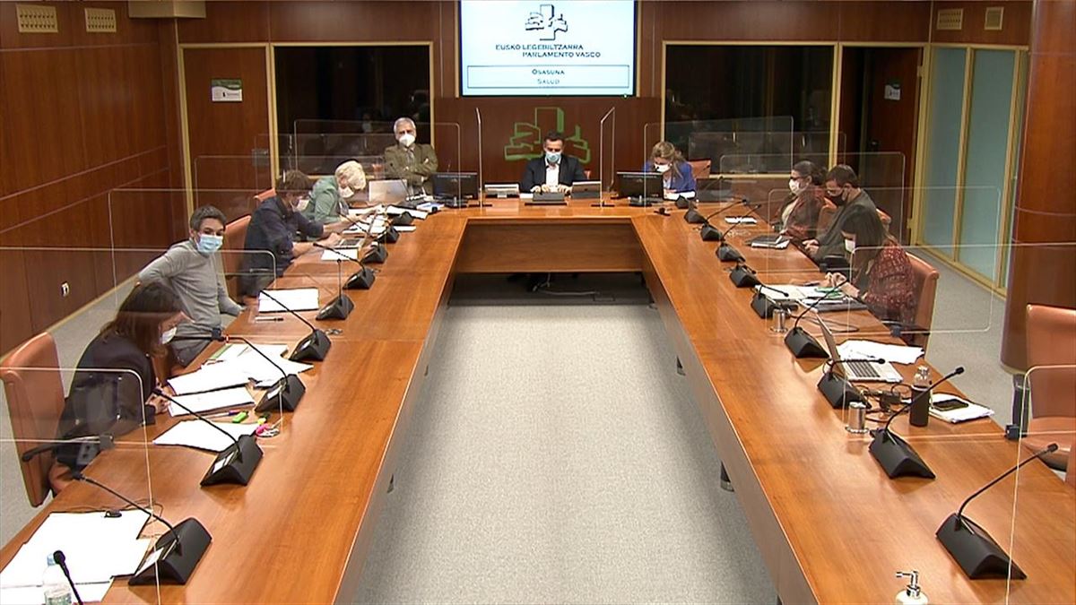 Comisión de Salud del Parlamento Vasco. Foto: EiTB