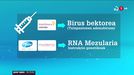 AstraZenecaren txertoak %&nbsp;60ko eraginkortasuna du eta bi dosi hartu behar dira