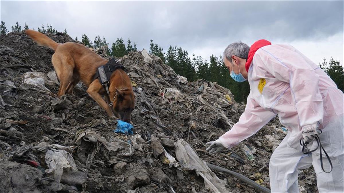 La unidad canina de la Ertzaintza sigue en la búsqueda de Joaquín Beltrán. Foto: EFE