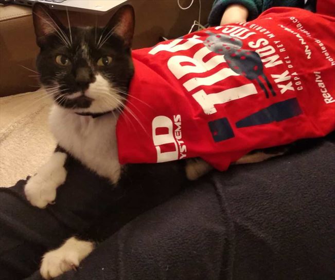 imágenes aportadas por oyentes