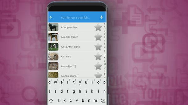 Txakurretan aditu izateko aplikazioak