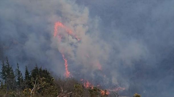 Argazkia: Berako (Nafarroa) suhiltzaileak