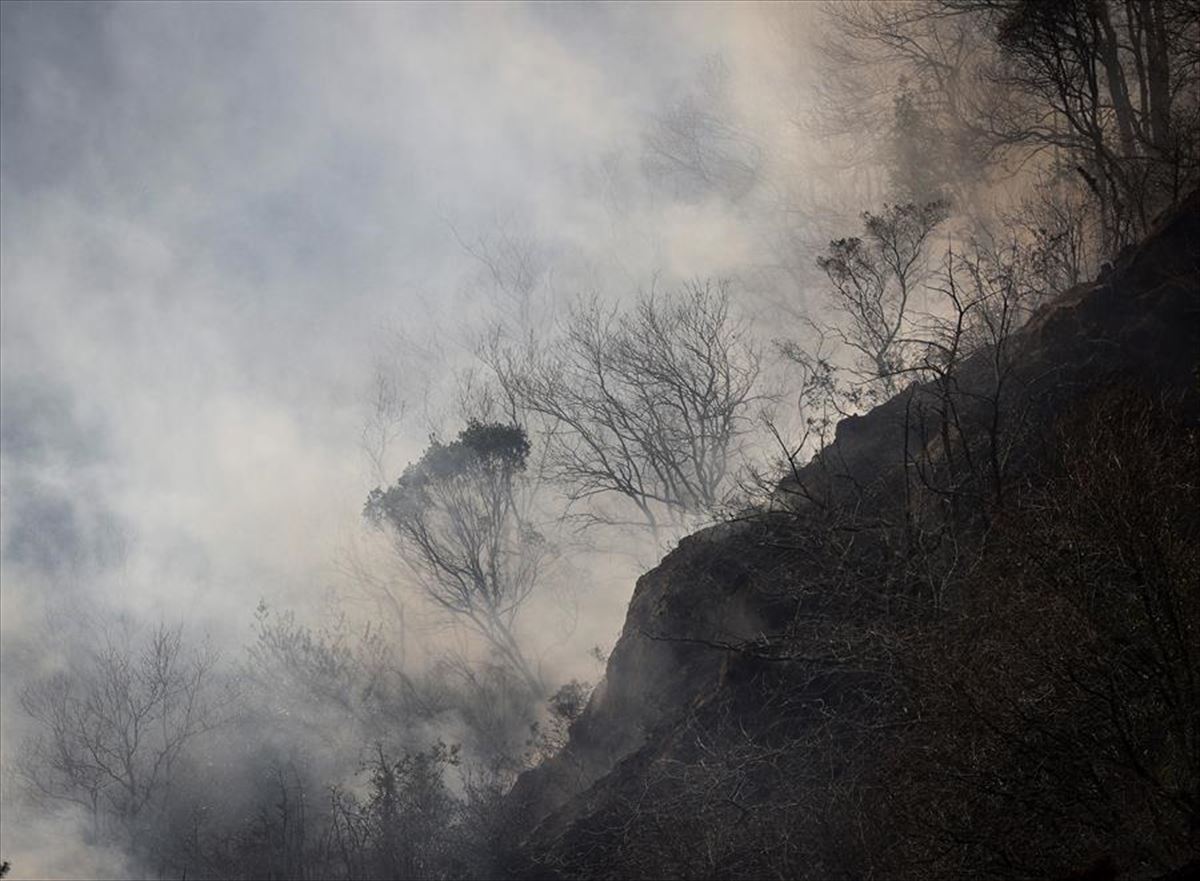 Vista de un foco del incendio forestal en Endarlatsa (Gipuzkoa).