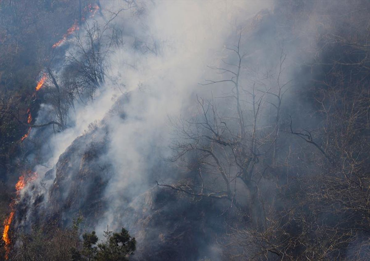 Vista de un foco del incendio forestal en Endarlatsa (Gipuzkoa).
