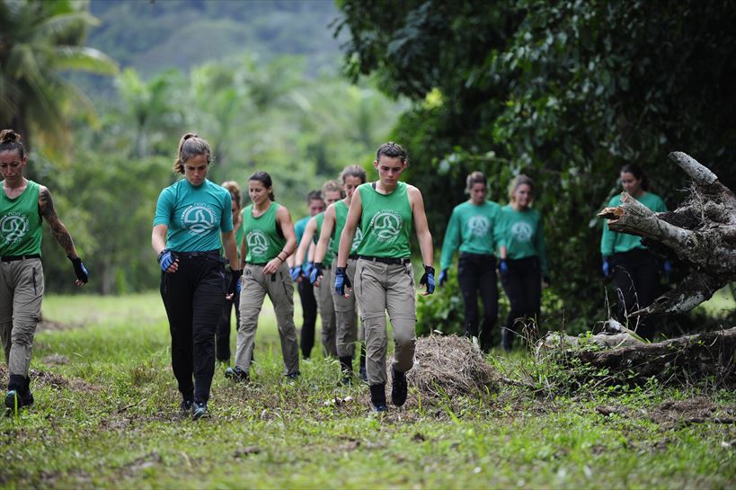 Talde berdea duelura bidean