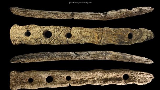 El bastón de Aizkoltxo y La vida contada por un sapiens a un neandertal