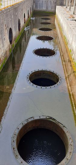 Lemoizko zentral nuklearra