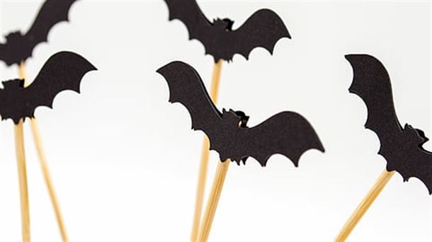 Mitos y verdades sobre el murciélago                                                 