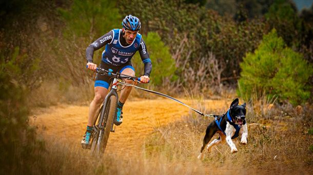 Daniel Arenas compite con su perro Asterix en bikejoring
