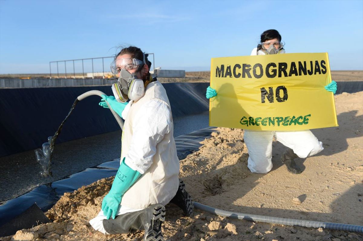 Greenpeace devuelve 1000 litros de agua contaminada a la macrogranja de Caparroso