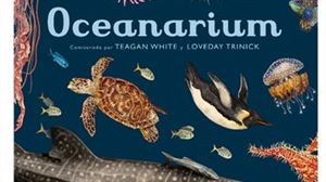 Oceanarium: descubriendo lo visible e invisible del universo azul 