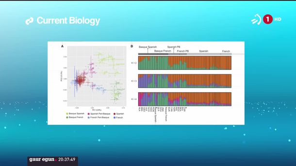 Euskal herritarren berezitasun genetikoa. ETBren bideo batetik ateratako irudia.