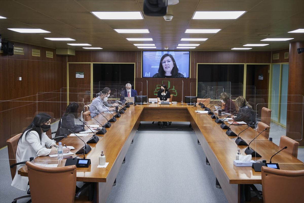 Comisión de Derechos Humanos, Igualdad y Justicia del Parlamento Vasco.