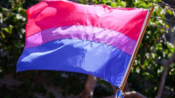 Bandera de la bisexualidad.