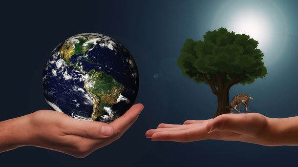 Economía y sostenibilidad: dos términos absolutamente complementarios