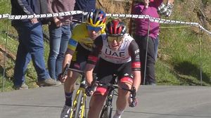 Pogacar, Roglic, Van Aert eta Pidcock Milan-San Remo klasikoan arituko dira