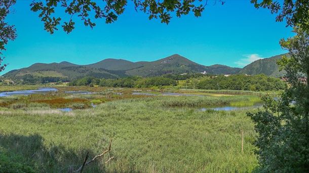 Paisaje de Urdaibai. Foto de archivo: Jesús María Tortajada