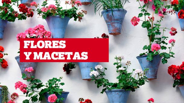 Flores para Sergio Herrera y Jon Moncayola... macetas para Nacho Vidal
