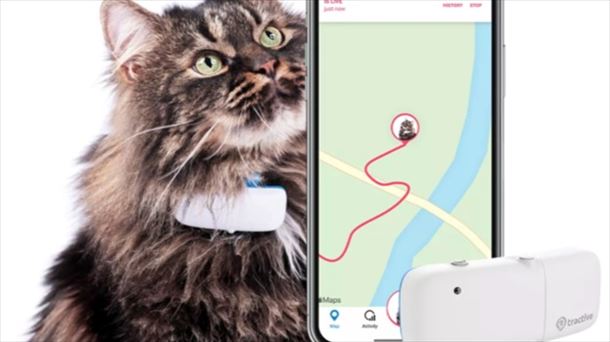 
“Los localizadores con GPS para mascotas funcionan con un sistema de datos”
